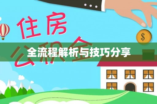 眉县全流程解析与技巧分享
